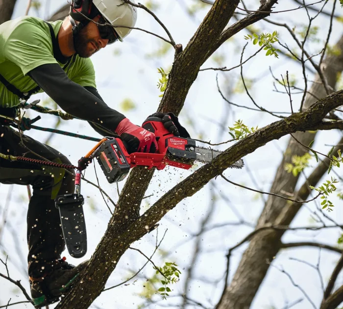 Poda de arboles con Milwaukee